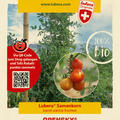 OpenSky, Freilandtomate, Stabtomate, Climbing Tom, Samen, Samentuete