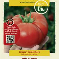 Tomaten 'Ochsenherz sterreicher'