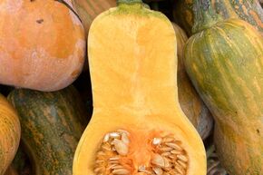 Butternut-Krbis 'Honeynut'