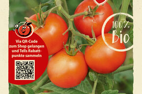 Tomaten Samen OpenSky 'Tombonne'