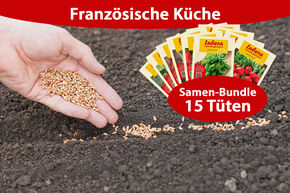 Gemsesaatgut Bundle Franzsische Kche (15 Tten)