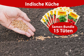 Gemsesaatgut Bundle Indische Kche (15 Tten)