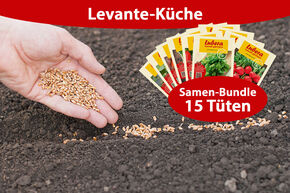 Gemsesaatgut Bundle Levante-Kche (15 Tten)