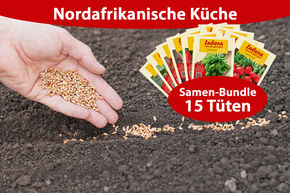 Gemsesaatgut Bundle Nordafrikanische Kche (15 Tten)