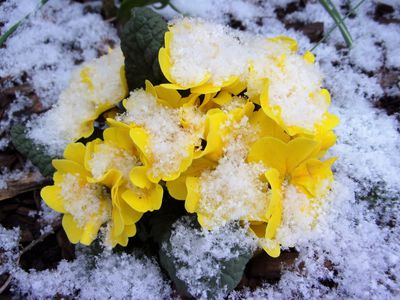 Garten im Winter &#8211; warum auch er liebenswert ist